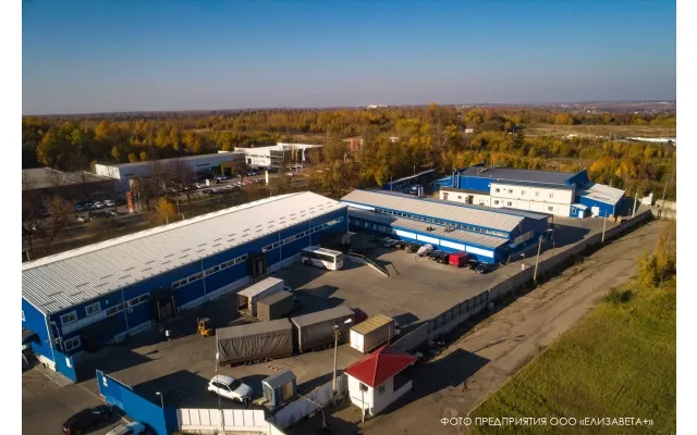 Elizaveta+, LLC - 6