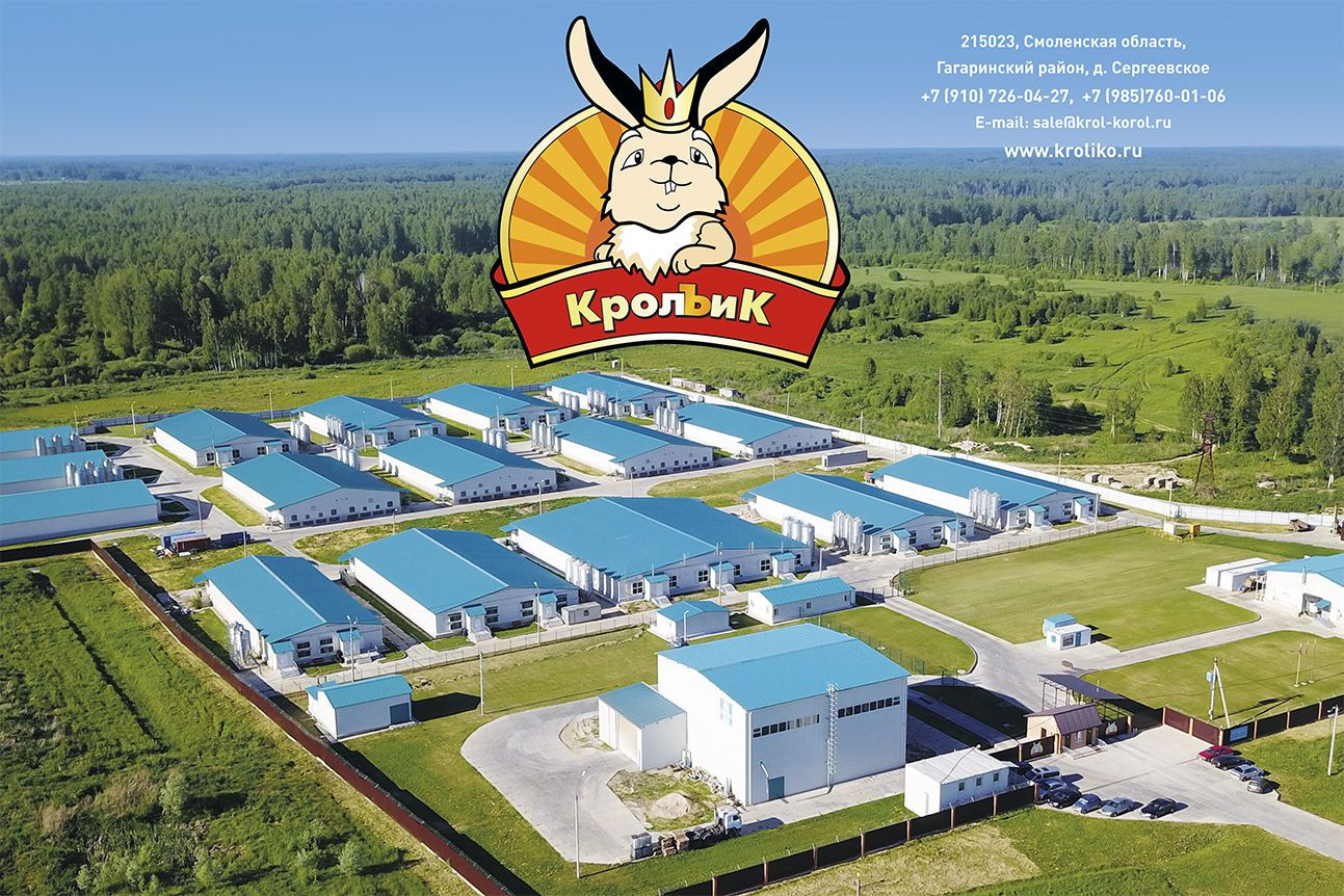 KROL & K LLC - фото - 2