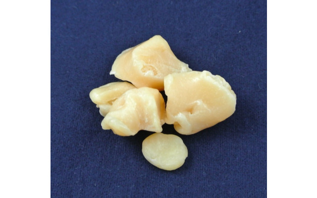 Vyazemsky Plant of Synthetic Products JSC - 2
