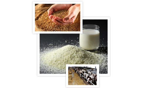 ООО «Тагрис Молоко» - фото - 1