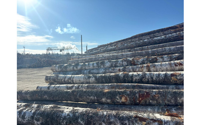 ООО «Ярцевская Фанера» - 3